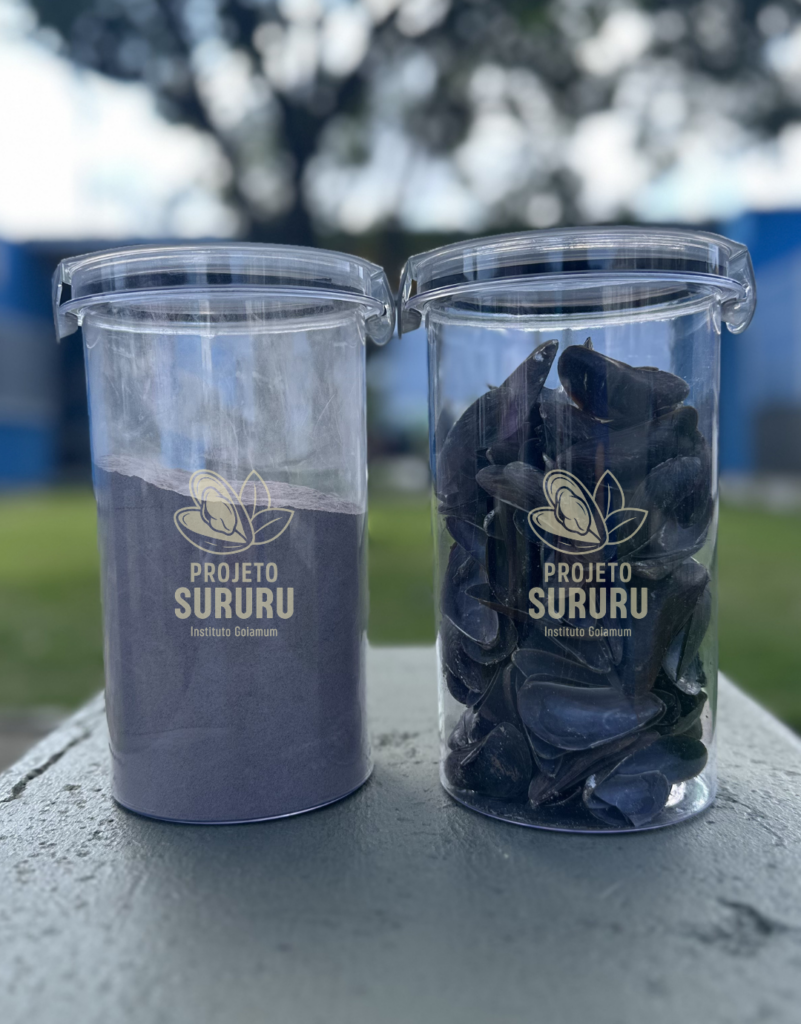Projeto Sururu transformando resíduos de marisco em solução sustentável