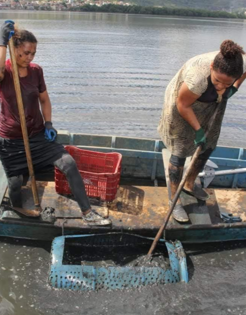 Marisqueiras participando de projeto de economia circular no litoral brasileiro