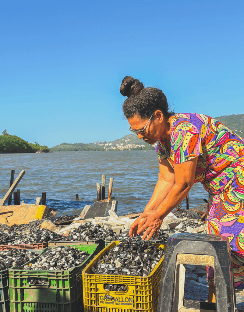 Mulheres do mangue realizando coleta de mariscos no litoral brasileiro