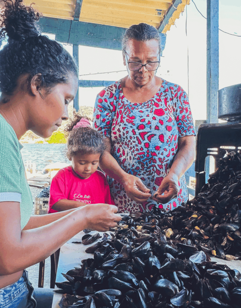 Projeto Sururu promovendo sustentabilidade e geração de renda para marisqueiras