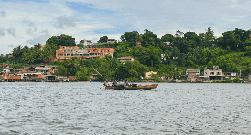 Manguezal no Espírito Santo conectado à agricultura regenerativa
