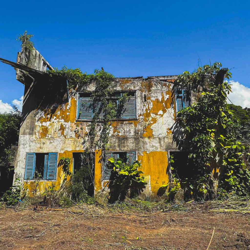 Projeto de preservação cultural realizado pelo Instituto Goiamum através da LICC